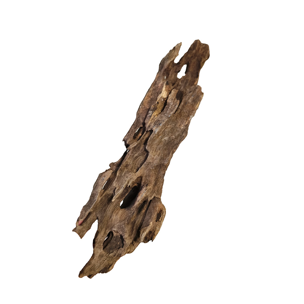 Korzeń Dragon Wood Smoczy Korzeń M 18-30cm Dekoracja Akwarium Hardscape